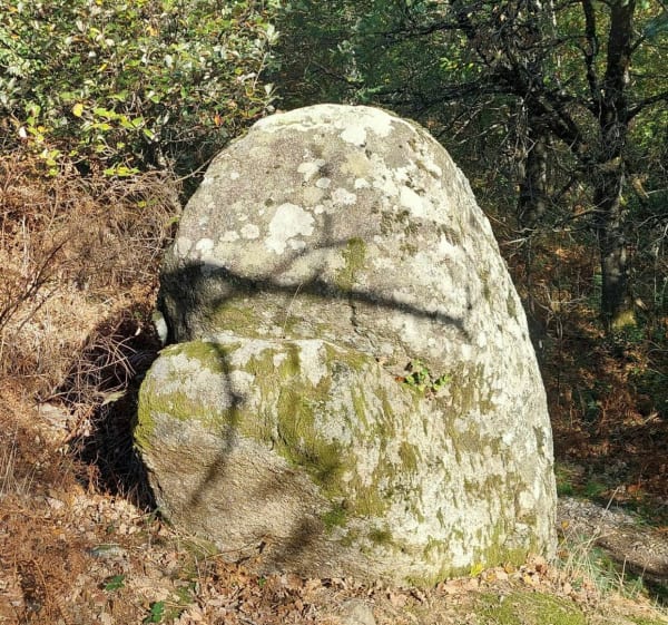 Marche Nordique : Ronde del Peiraire - Saint-Salvy-de-la-Balme - 1