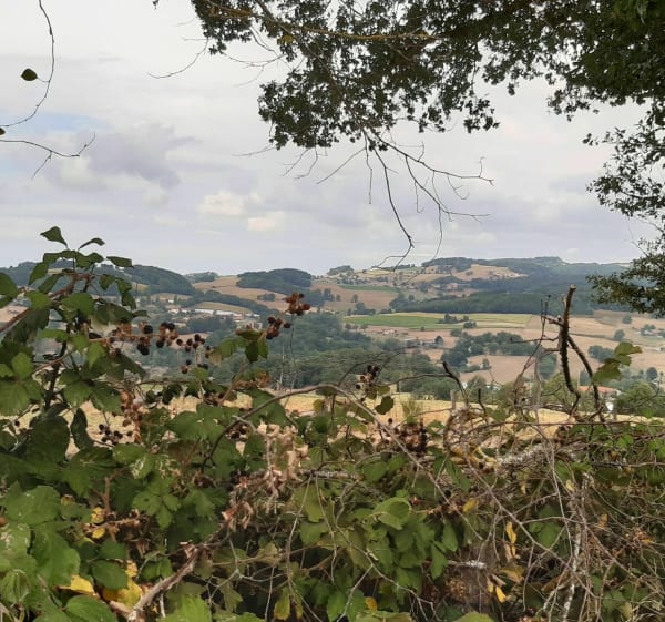 Belle balade sur Saint-Martin-en-Haut - Saint-Martin-en-Haut - 1