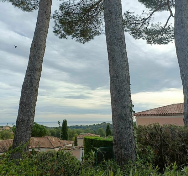 Boucle entre Antibes et Biot - Antibes - 1