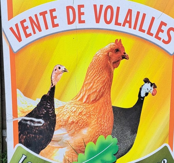 Chercher le Bio à Laigné-en-Belin - Laigné-en-Belin - 1