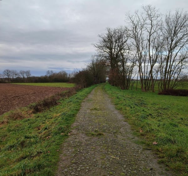 Sortie entre piste cyclable et champs - Lingolsheim - 1