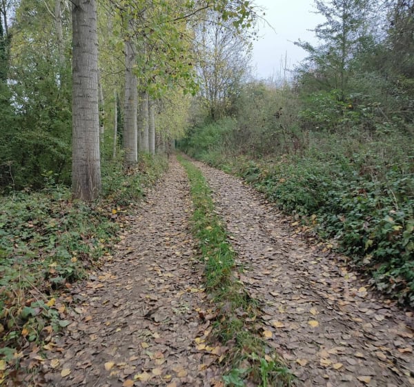 Balade autour du lycée agricole du Paraclet - Boves - 1