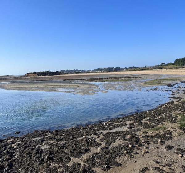 Autour de l'Anse de Kerdual - La Trinité-sur-Mer - 1