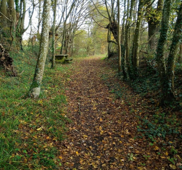 Balade automnale à Beaufay - Beaufay - 1
