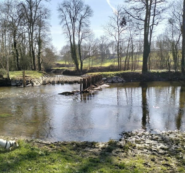 L'île de la Merlerie jusqu'au moulin du Furet - Rives de l'Yon - 1
