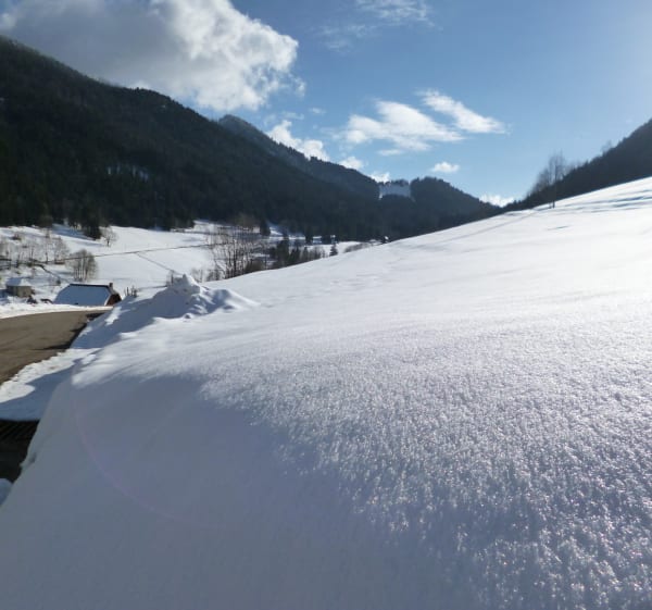 Boucle du Villard - Itinéraire hiver - Saint-Pierre-d'Entremont - 1