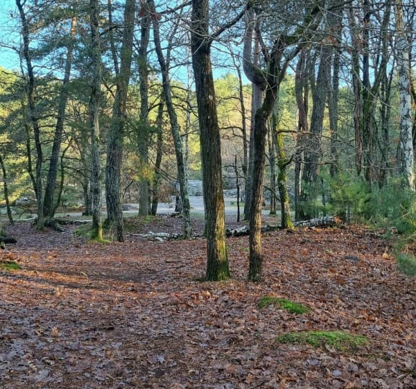 Le Vaudoué - Le Vaudoué - 1