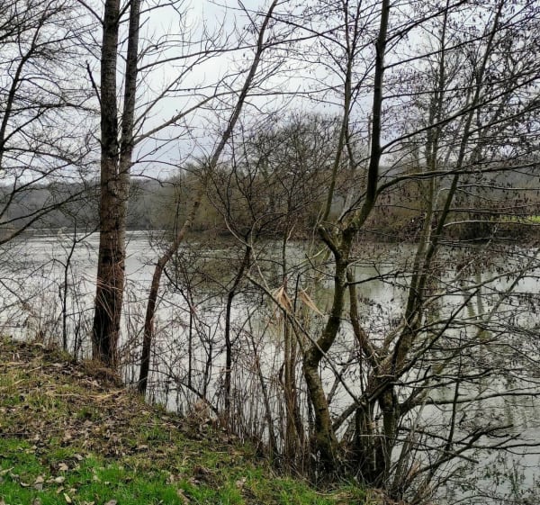 Promenade Fedry, au bord de la Saône - Fédry - 1