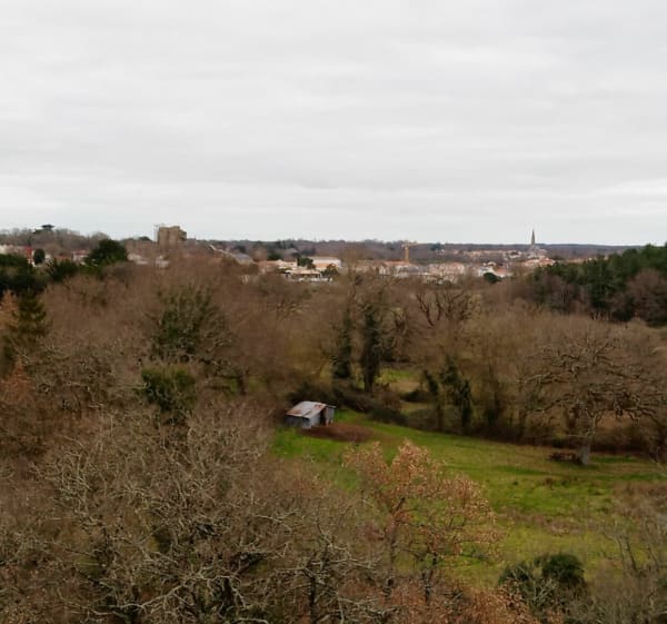 Balade autour de Talmont-Saint-Hilaire - Talmont-Saint-Hilaire - 1