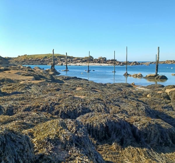 GR34 et plus à Porspoder vers l'Ile de Melon - Porspoder - 1