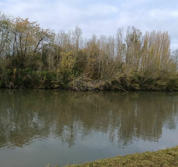 Promenade autour de Béthune par le canal et les étangs - Béthune - 1
