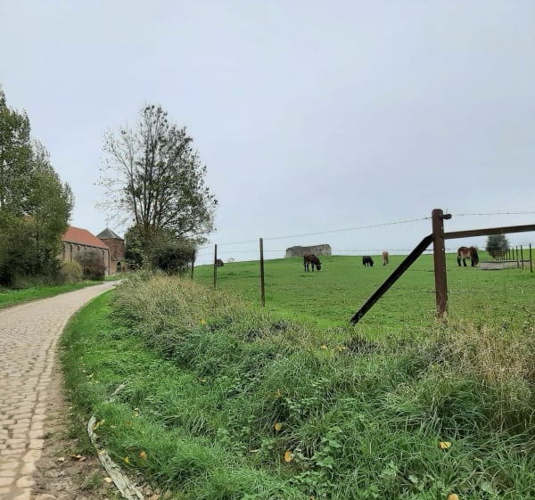Belle balade sur les pavés mythiques du Nord - Solesmes - 1