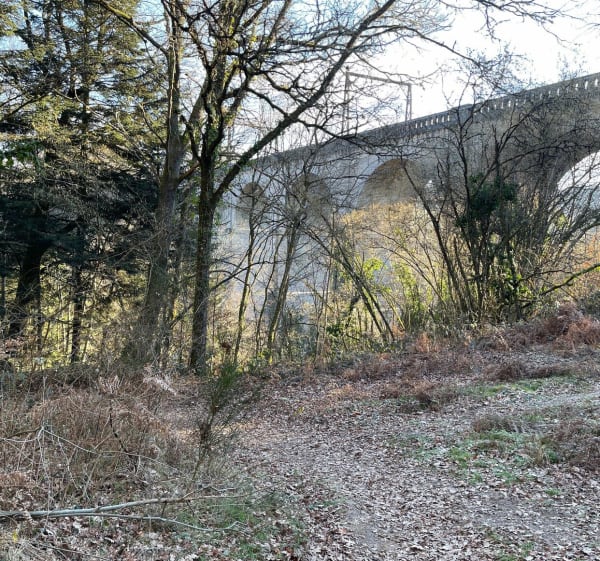 Balade en forêt du Palais vers le Moulin de Juriol - Le Palais-sur-Vienne - 1
