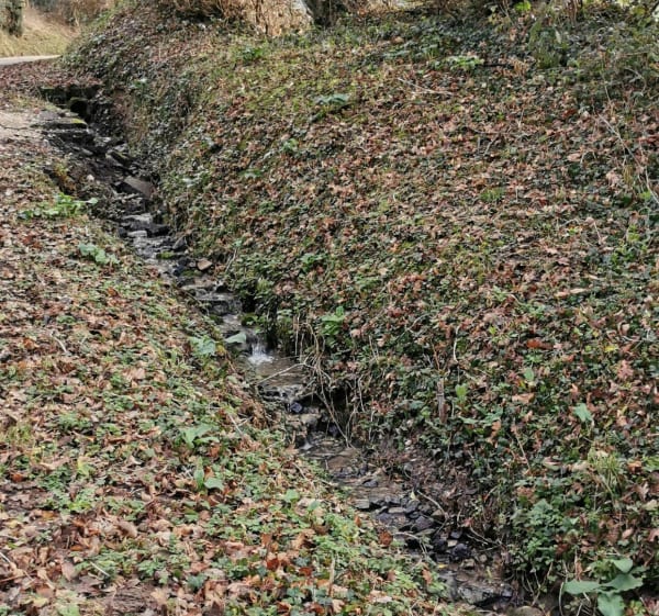 Boucle sportive autour de la Capelle et sa campagne - La Capelle-lès-Boulogne - 1