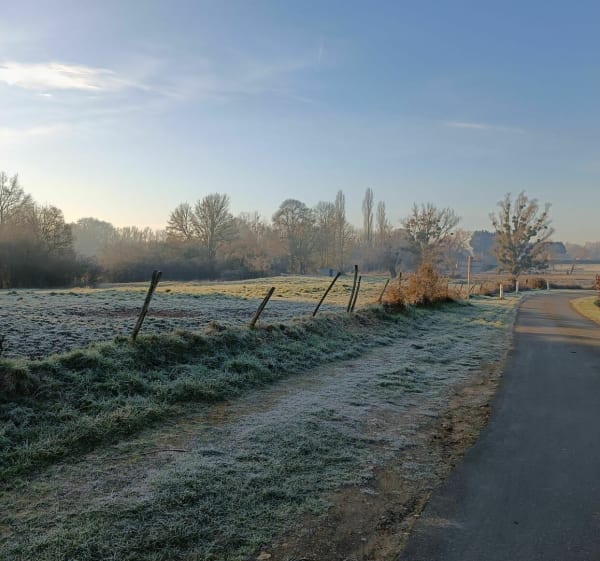 Balade au milieu des champs par la Jorandière - Saint-Georges-sur-la-Prée - 1