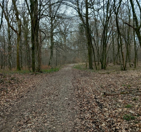 Urcerey par Botans Argiesans et le bois de Froideval - Urcerey - 1