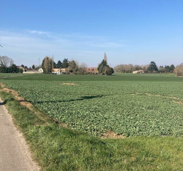 Ballade dans les champs de Bonnieres - Bonnières-sur-Seine - 1
