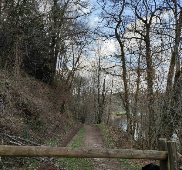 Le long du chemin par le Petits Bois - Saint-Priest-Taurion - 1