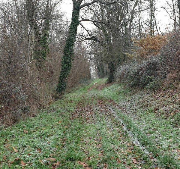 Balade en campagne Fléréenne - Fléré-la-Rivière - 1