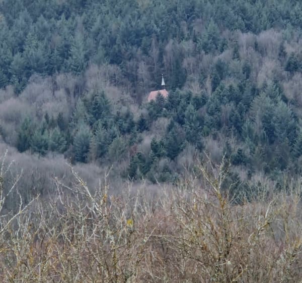 Saint-Jean-Saverne via Ottersthal - Saint-Jean-Saverne - 1