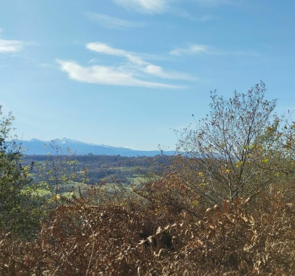 Sur les hauteurs d'Arbus - Arbus - 1