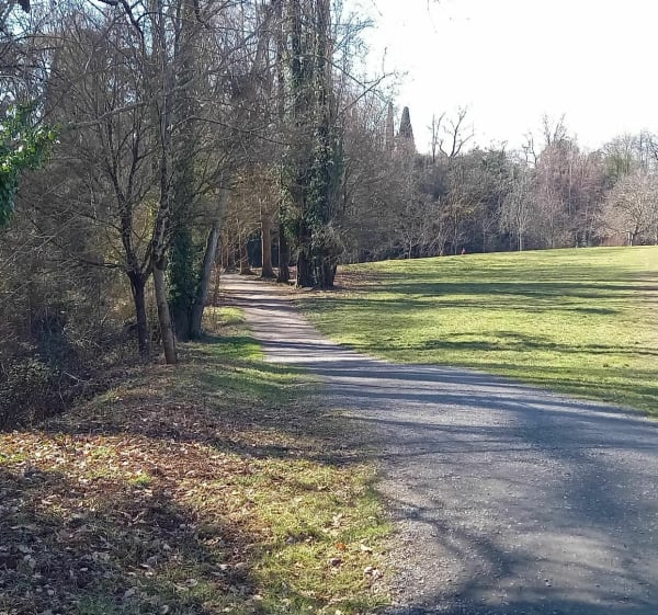 Échappée Verte au fil de l'eau dans ALBI - Albi - 1