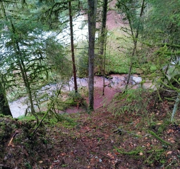 Wandeling naar de Saut de la Bourrique - Gérardmer - 1