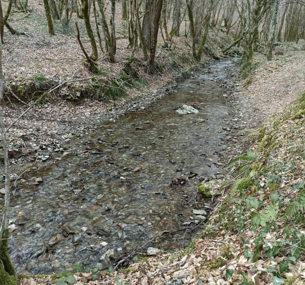 Boucle de Larre Saint Rabier - Châtres - 1