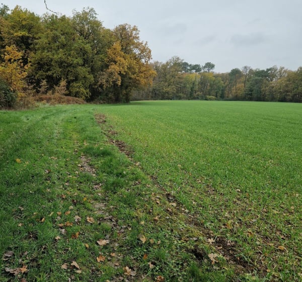 Sortie trail à Saint-Georges-sur-Cher - Saint-Georges-sur-Cher - 1