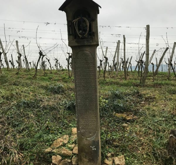 Balade autour du Horn - Ergersheim - 1