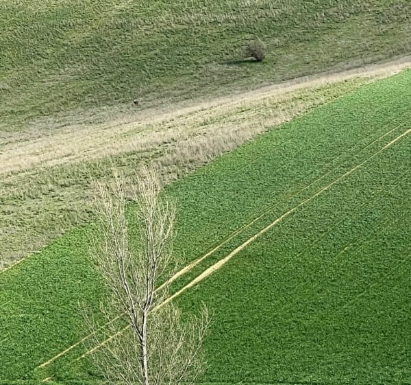 Marche nordique à l'Isle Jourdain - L'Isle-Jourdain - 1