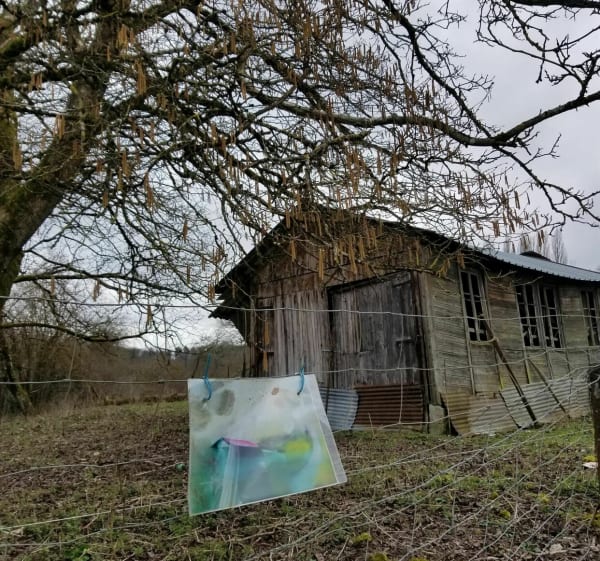 Wandelen in het bos van Argonne. - Châtel-Chéhéry - 1