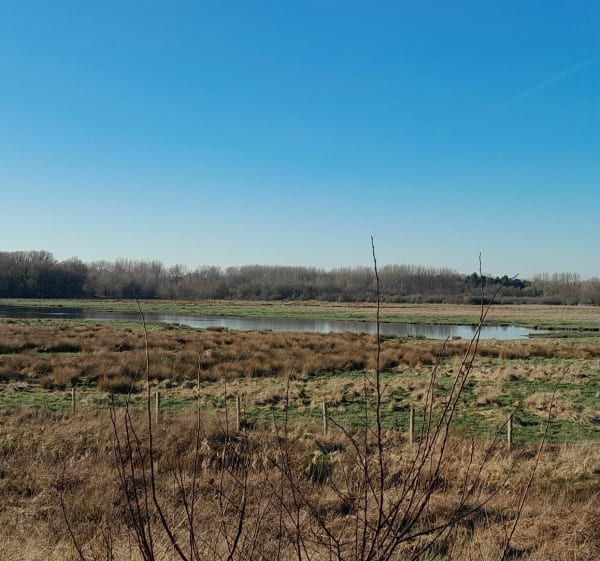 Entre molières et sable en baie d'Authie - Conchil-le-Temple - 1