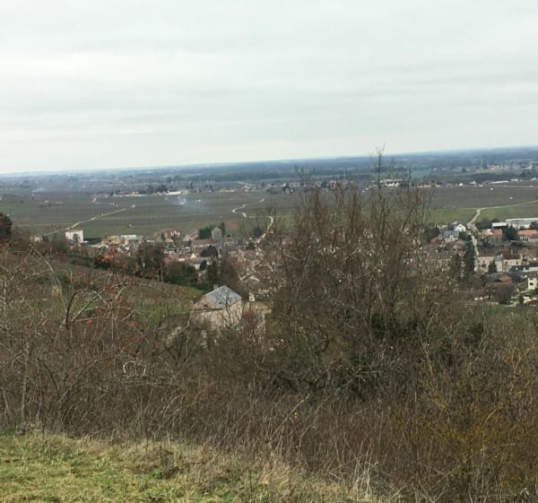 Randonnée sur la haute côte de Nuits-Saint-Georges - Nuits-Saint-Georges - 1