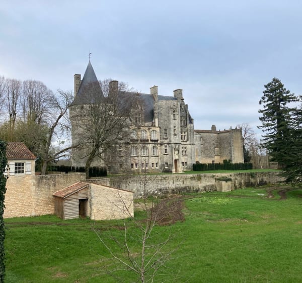 Belle Boucle en campagne et sous bois de Plassay - Plassay - 1