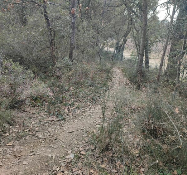 La Trévaresse à VTT - Aix-en-Provence - 1