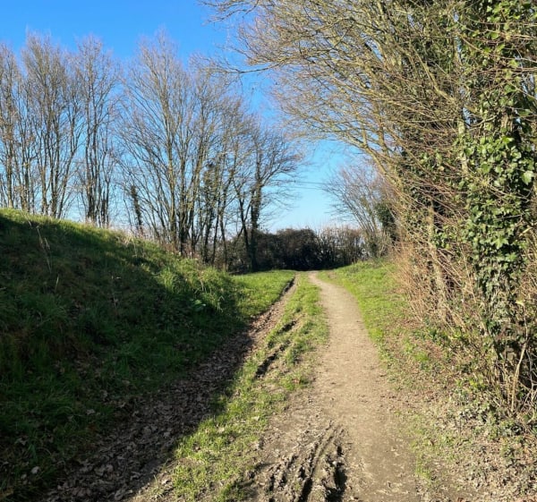 Balade entre Cesson-Sévigné et Chantepie - Cesson-Sévigné - 1