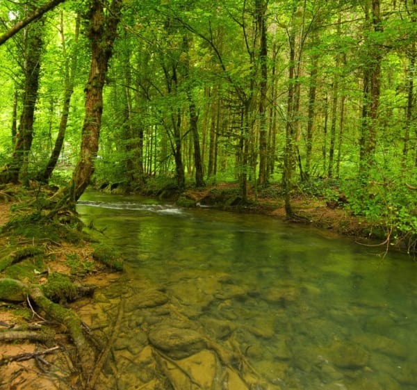 Wandel naar de Tufs-waterval en de kleine Cuisance-bron - Les Planches-prés-Arbois - 1
