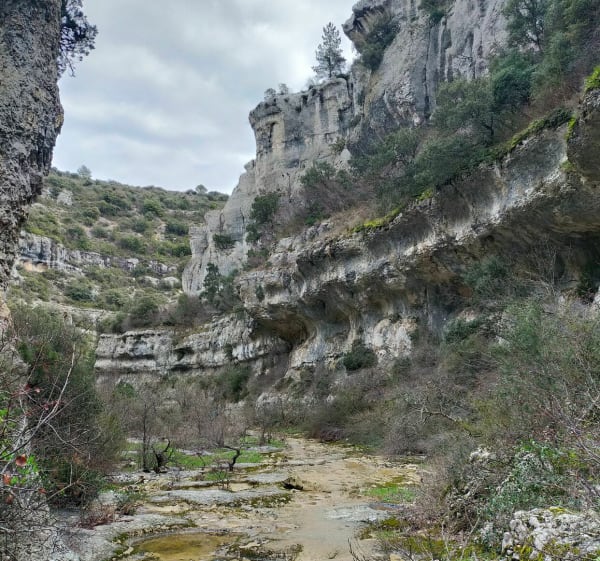 De Joucas à Murs en passant par les moulins - Joucas - 1