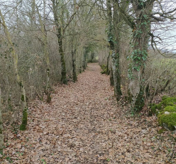 Du Causse de Recoules au bois de Prévinquières - Sévérac-d'Aveyron - 1