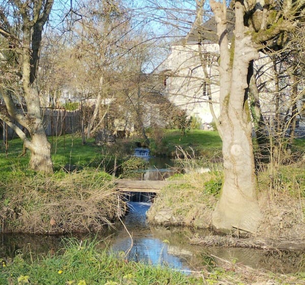 Balade de la Membrolle sur Choisille vers Fondettes - La Membrolle-sur-Choisille - 1