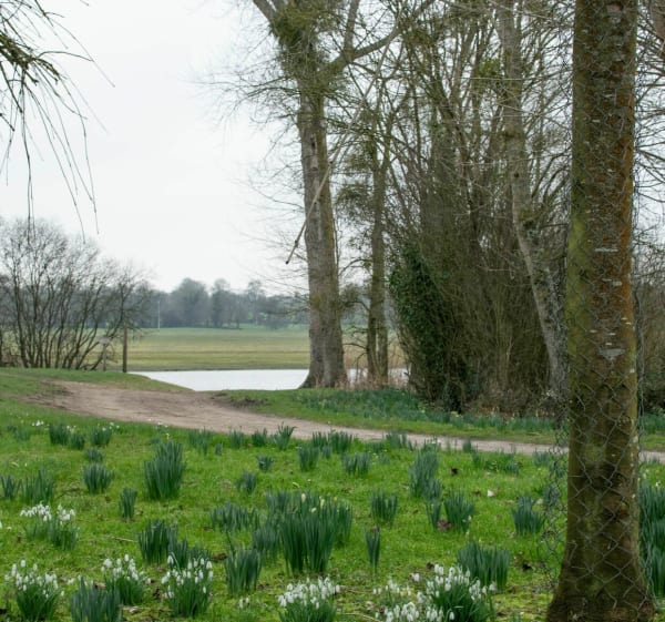 Entre marais et bocage à Étienville - Picauville - 1