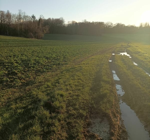 Balade des chemins entre Haironville et Brillon - Haironville - 1