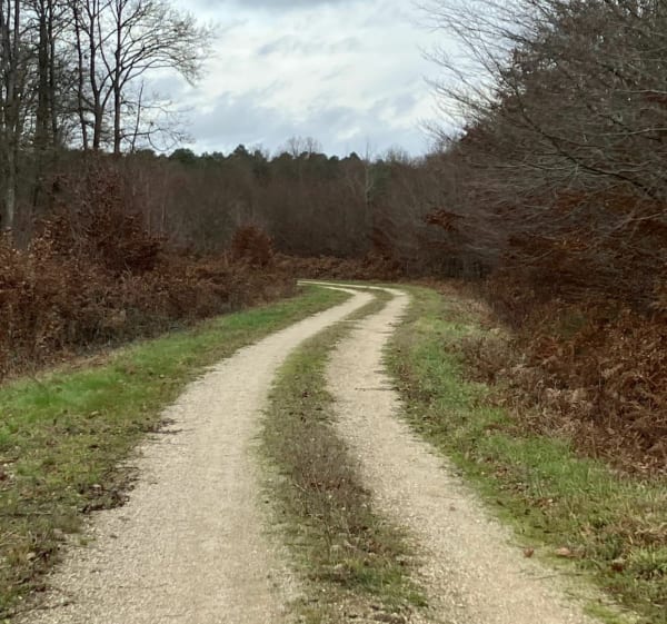 De Quiers à Nesploy puis Boiscommun par la forêt - Bellegarde - 1