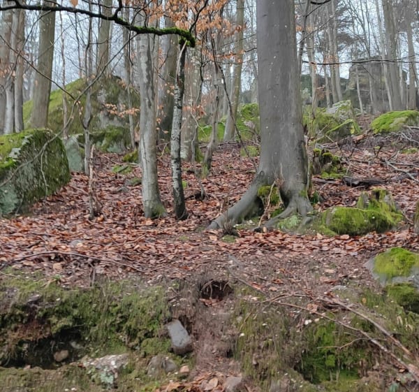 Balade autour de Niederhaslach - Niederhaslach - 1