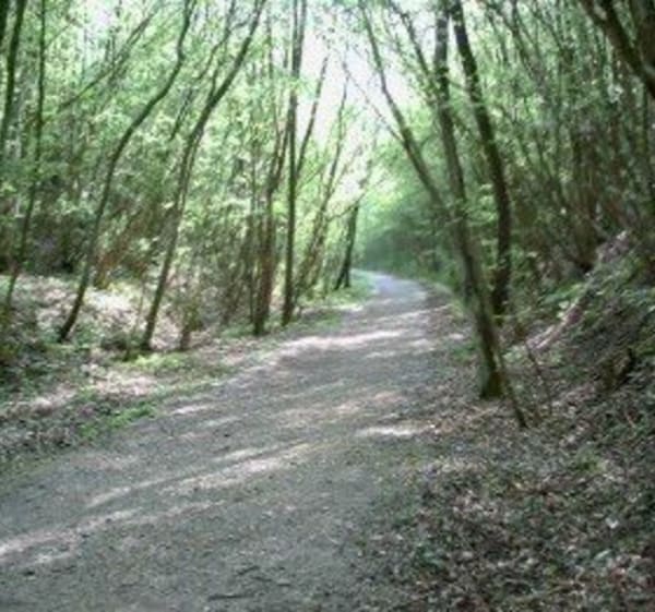 La Comté par l'ancienne voie ferrée en gravel - La Comté - 1