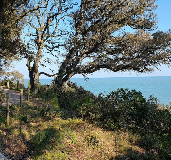 Balade entre village et plage - Noirmoutier-en-l'Île - 1