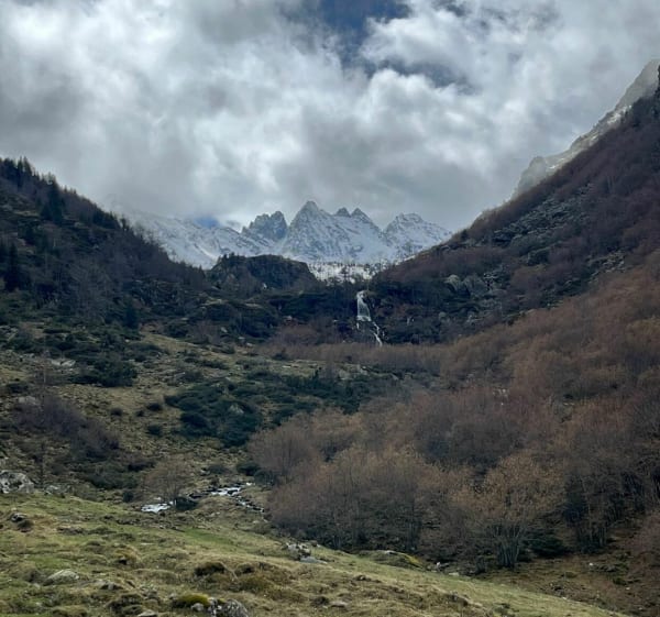 Cabanes de Savignac - Savignac-les-Ormeaux - 1