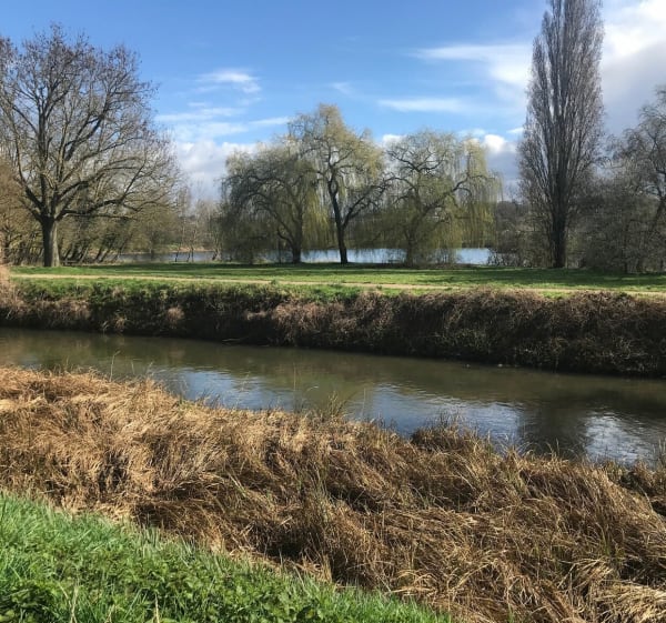 Boucle de la Guayère au bassin du petit Paris - Longpont-sur-Orge - 1