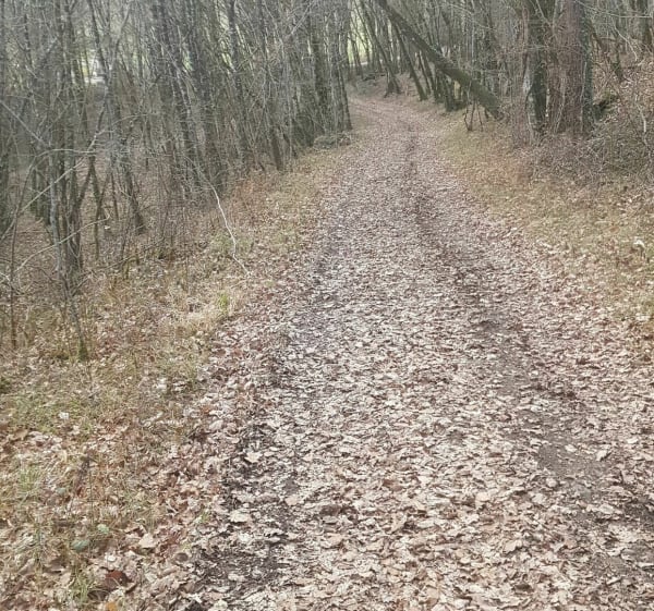 En suivant la frontière, de Cornille vers Trélissac - Cornille - 1